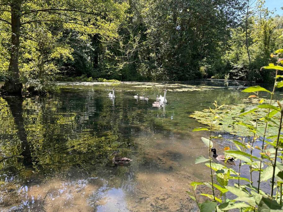 Вилла L'Impasse - Au Bord De L'Eau Epagne-Epagnette Экстерьер фото